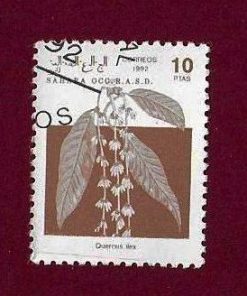FRANCOBOLLO SAHARA OCCUP. R.A.S.D. 1992 n.9 ” fiori ” € 0.10 usato